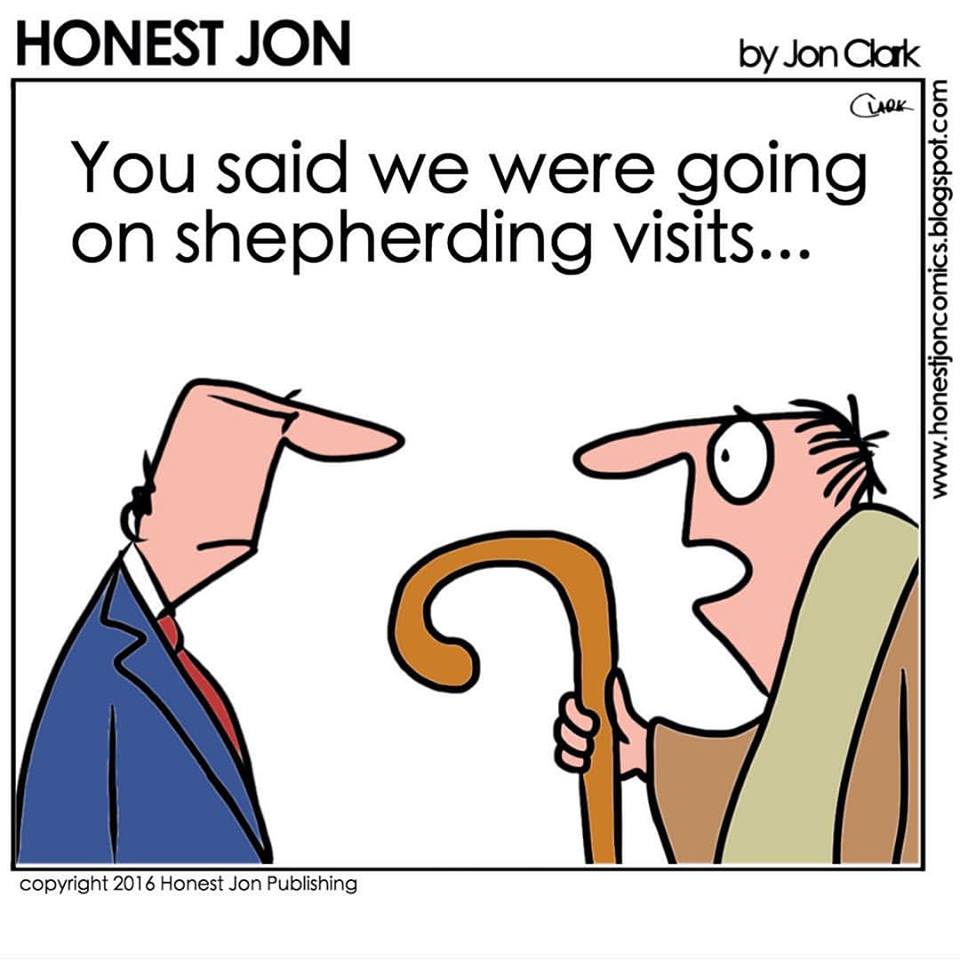 MO-TOONS